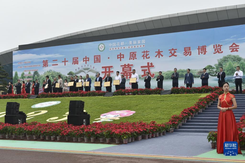 澳门幸运骰宝怎么玩